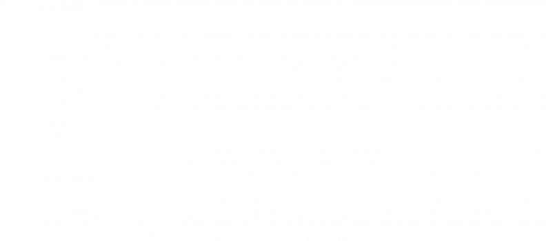 inCust Global